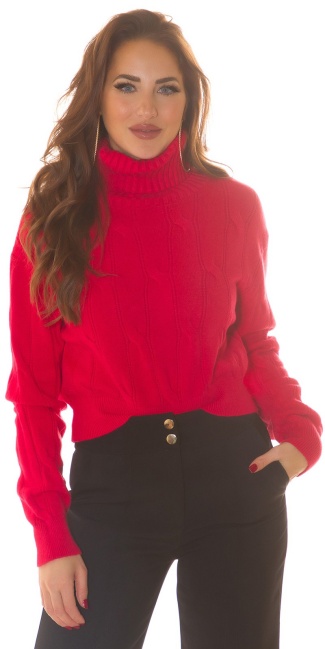 Musthave Knit Sweater with Turtleneck Red